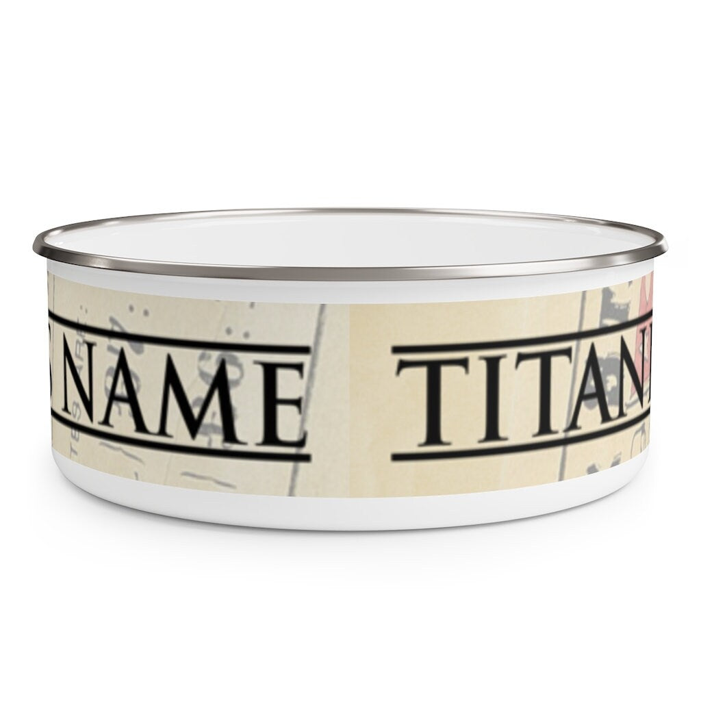 RMS Titanic enamel bowl - 8 year old boy gift, White Star Line enamel bowl vintage, retro white enamel bowl for Titanic party